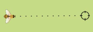 bee and target example