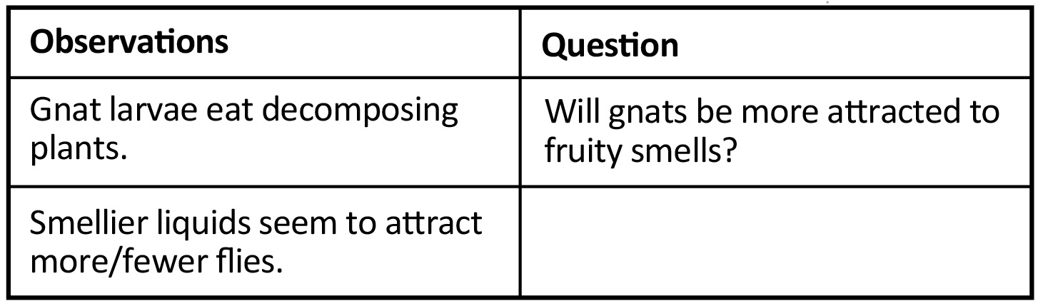 An example of an observation table. There are two columns. Observations are listed in the first column and questions are listed in the second.
