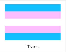 A flag with blue, pink, and white stripes that says "trans" underneath