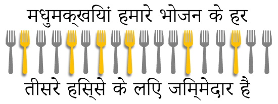 Fork icons showing that 1 in 3 bites we take of food is linked to bees.