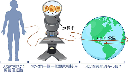 cells circle Earth