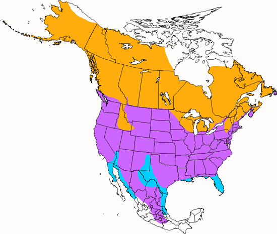 bird range map