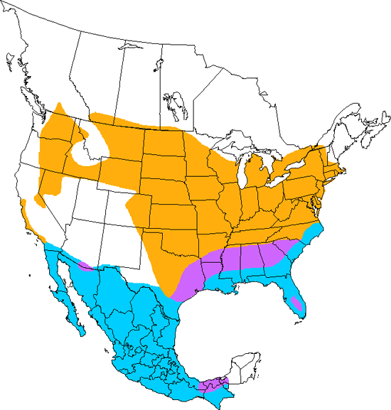 bird range map