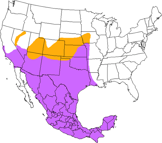 bird range map