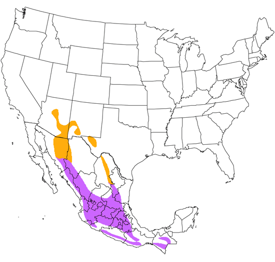 bird range map
