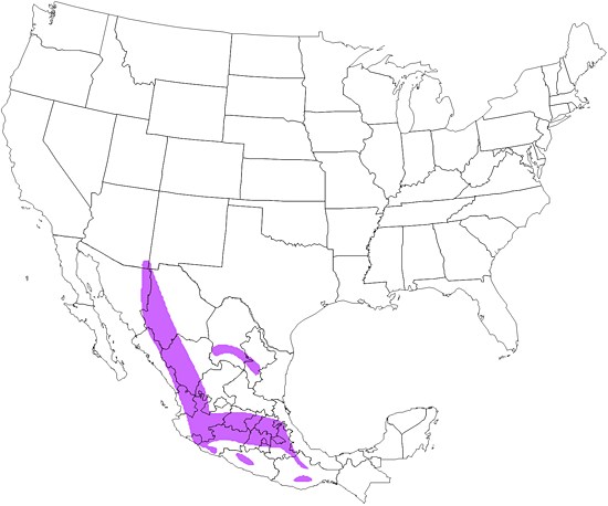 bird range map