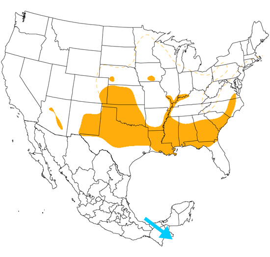 bird range map