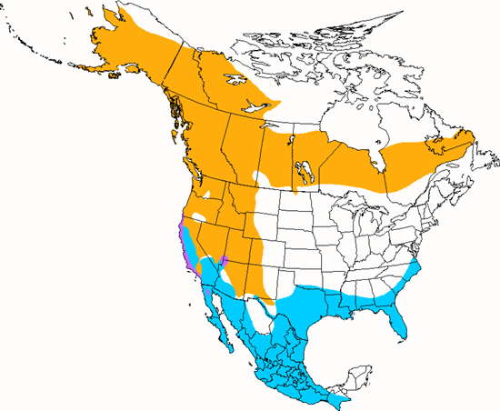 bird range map