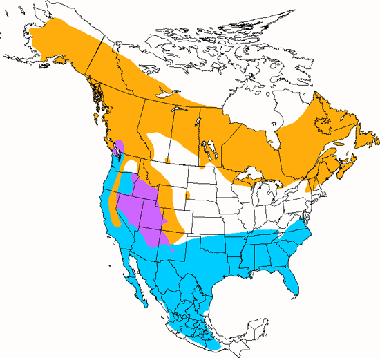 bird range map