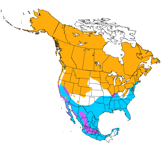bird range map