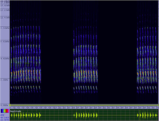 bird sonogram