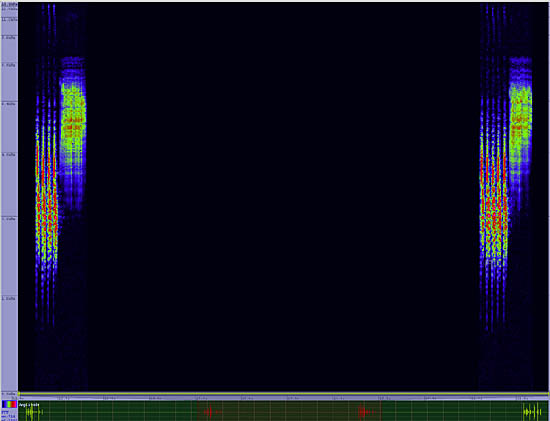 bird sonogram