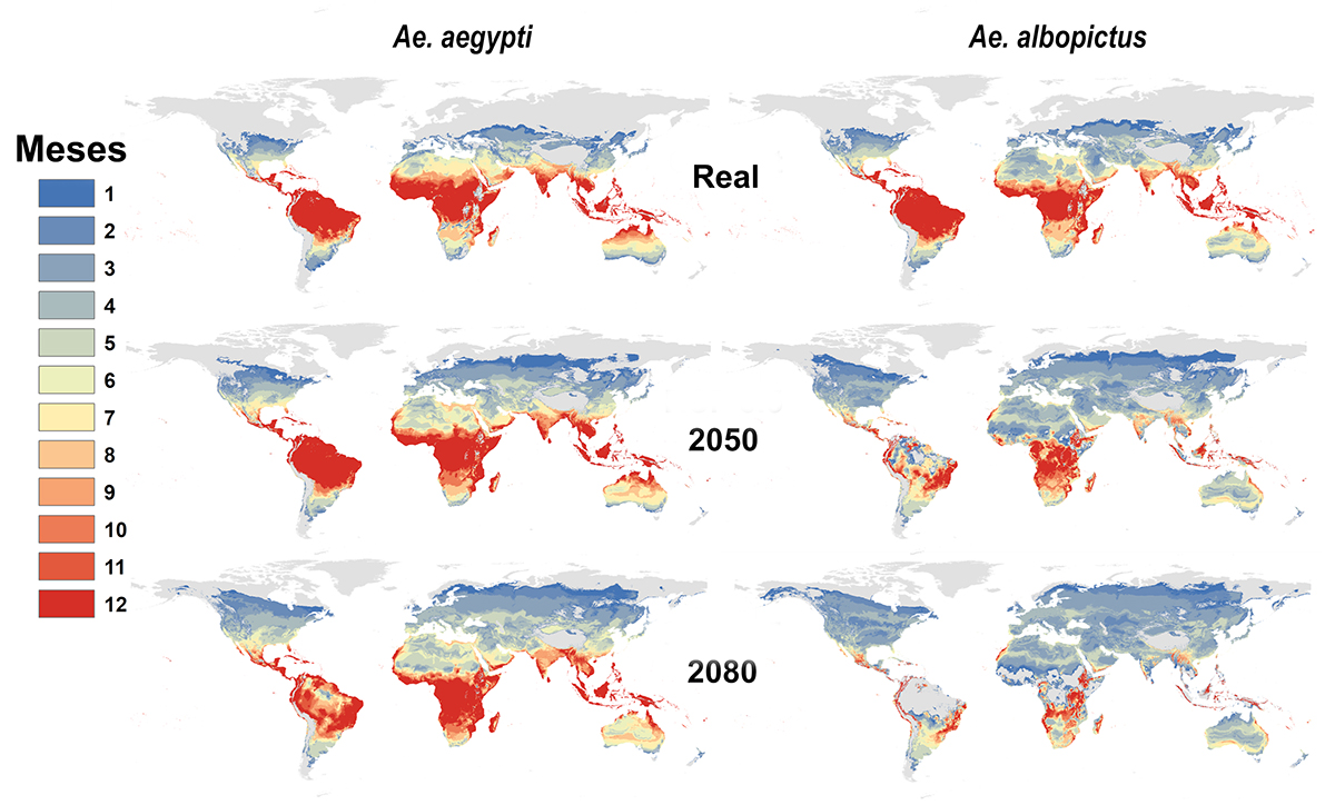 A map showing changes in available habitat for mosquitoes under the worst projected climate change scenario.
