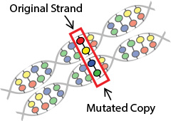 mutation