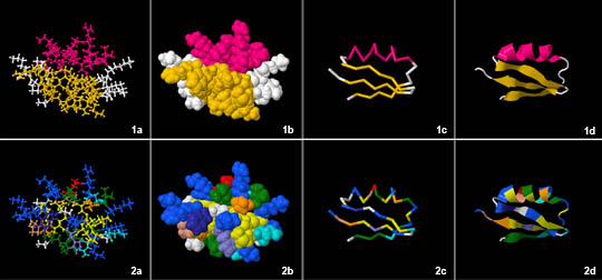 Scorpion toxin in eight different models