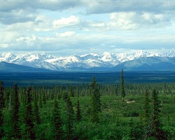 Alaska