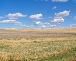 grasslands