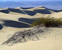 sandy dunes
