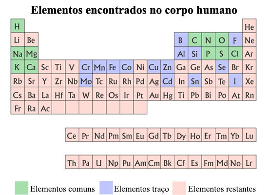 Ilustração Tabela Periódica dos elementos encontrados no corpo humano