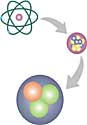 quarks