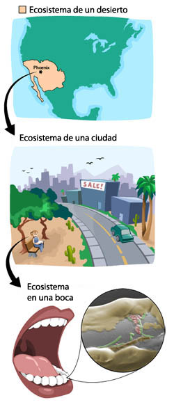 ecosystem types