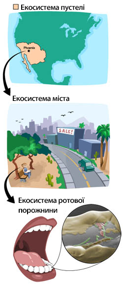 ecosystem types