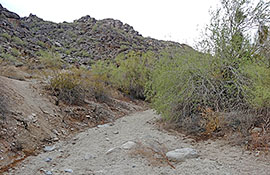 Desert wash - arroyo
