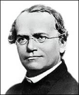 Gregor Mendel