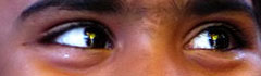 brown/black eyes