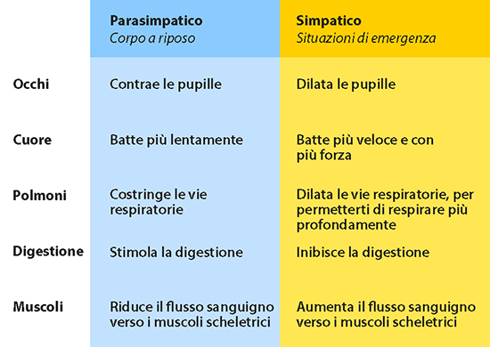 reazione del sistema simpatico e aparsimpatico