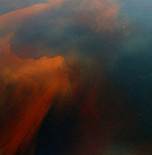 red tide