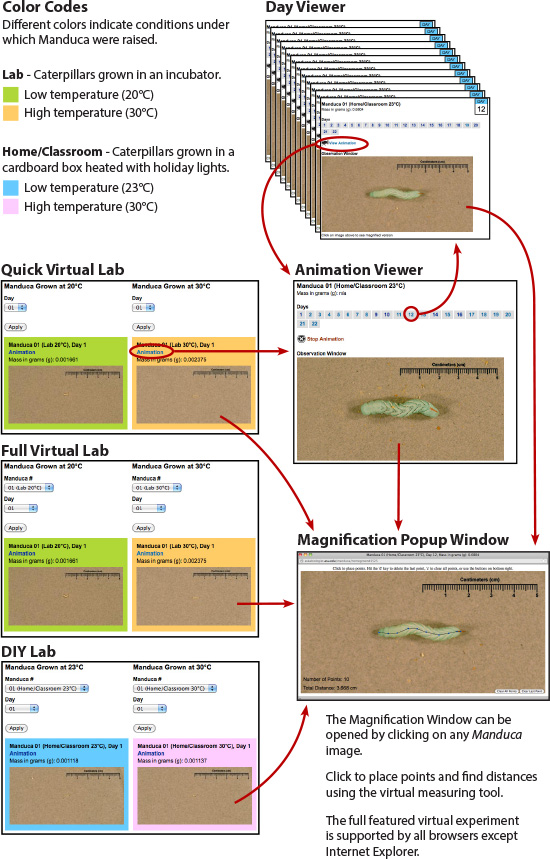 Experiment overview Experiment overview