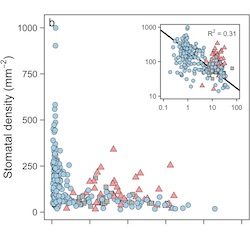 Stomatal density graph