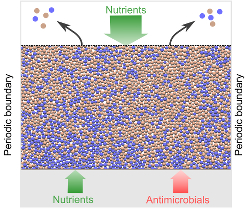 Bacteria battle