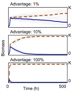 Model of bacterial growth