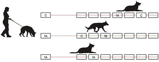 Figure 2 Experiment Design
