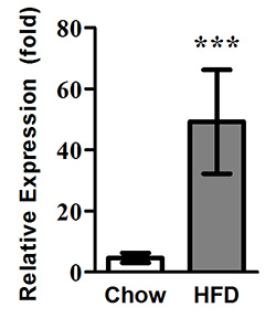 Relative expression of TNFa
