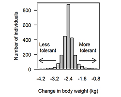 Sheep tolerance graphs