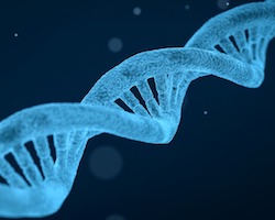 Illustration of a double-helix DNA strand colored blue.