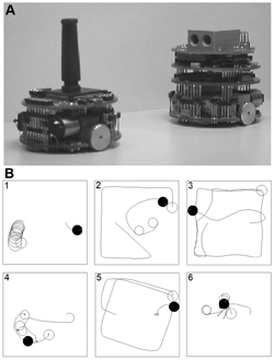 Robots from experiment