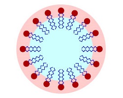 Lipid bilayer micelle