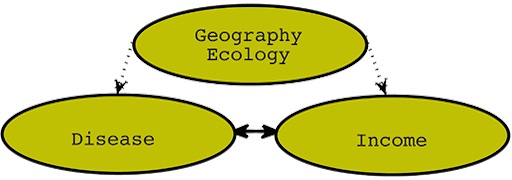 3 circles are shown. the top circle says "geography ecology." Two arrows come out of this circle downward, directed at two other circles. The left circle says "Disease" and the right circle says "Income." These two circles have a double-sided arrow between them.