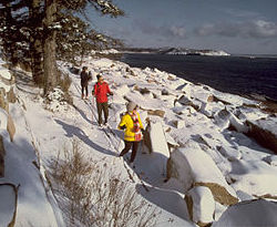 a family walks along a snowy path. The path they walk on sits very close to a large body of water.
