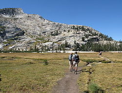 two hikers walk along a narrow path through a field. They head towards a large mountain that appears to be snow covered. There are pine trees covering the view of the mountain.