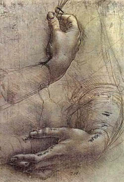 Study of Hand and Arms