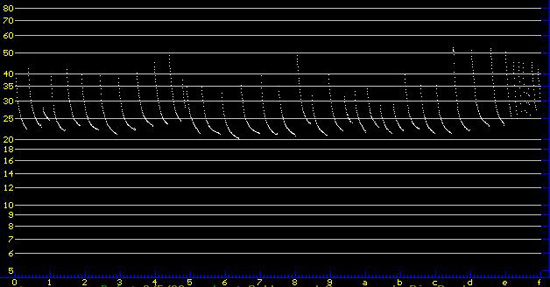 bat sonogram