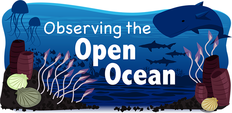 Marine Biome