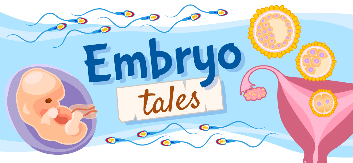 An illustration of an embryo, uterus, follicles and sperm with the title “Embryo Tales”