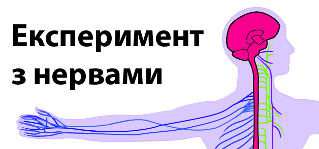 Зображення ілюстрації тіла, на якому зображено нерви в тілі на руці та голові