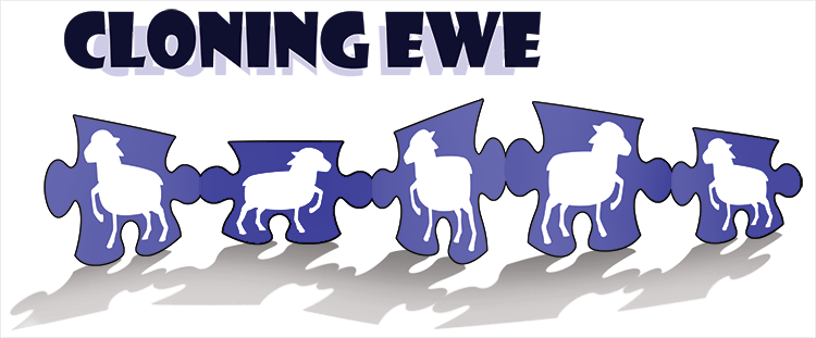 Cloning Ewe